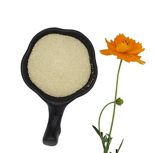 Gelatin Powder Food Grade Beef Gelatin for Food and Pharma Grade Gelatin Manufacturer 160 Bloom 180 bloom